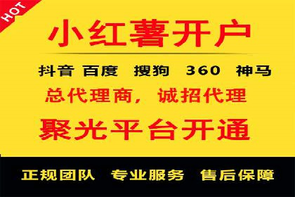 短视频信息流营销实战：小红书的成长之路